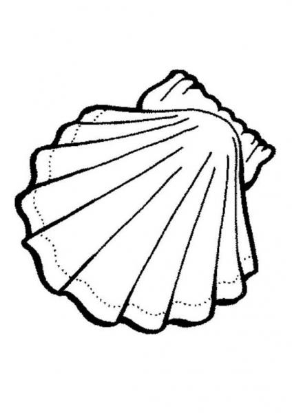 Muszelka